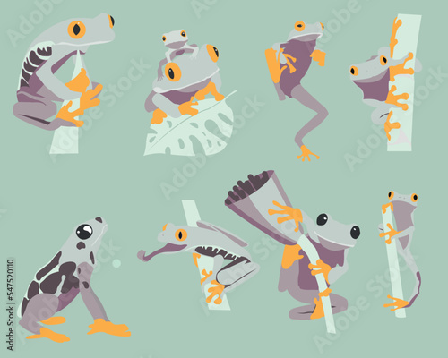 Set of editable frog vectors in different positions against  isolated on grey background