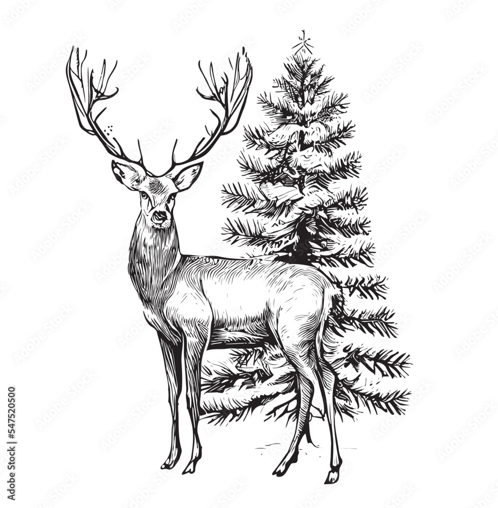 Deer stands on the background of the Christmas tree sketch hand drawn