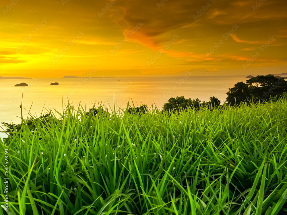 Amazing natural landscape in sunset light. Fresh green grass meadow and bright orange sky. Tropical island coast view point from Samui, Thailand. Beautiful nature landscape. Travel, tourism, holiday