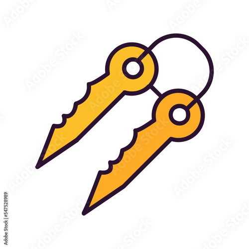Keys Icon