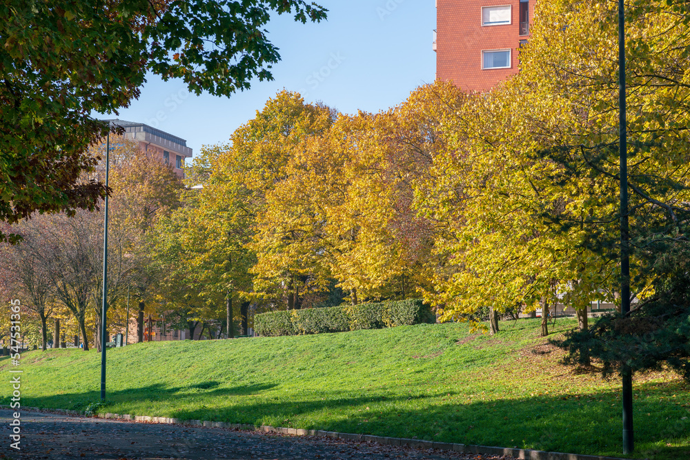 park in autumn: in the parks the landscape changes the leaves that change color, the autumn season brings these magnificent colors. park in autumn: in the parks the landscape changes the leaves that change color, the autumn season brings these magnificent colors.