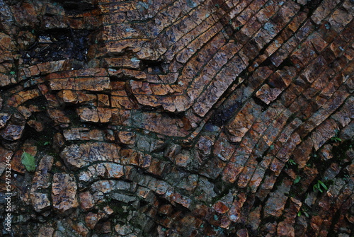 層状チャート（船岡山・丹波層群）