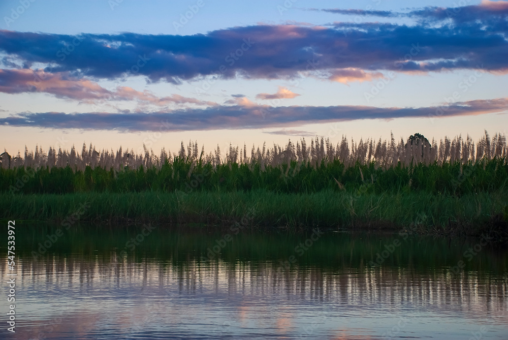 Fototapeta premium Rio Itaúnas (Paisagem) | Itaúnas river