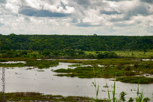 Rio Itaúnas (Paisagem) | Itaúnas river