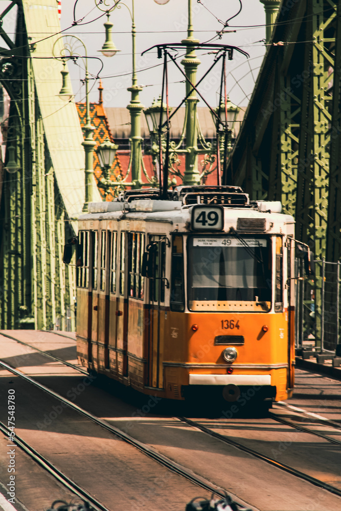 Fototapeta premium tram on the bridge