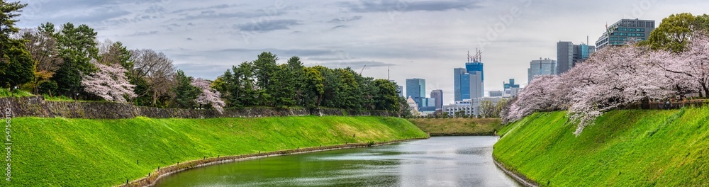 Fototapeta premium (東京都ｰ風景パノラマ)春の千鳥ヶ淵周辺の風景２