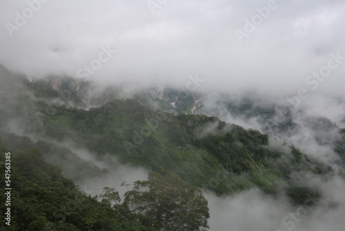 北アルプス 霧の白馬連峰の尾根