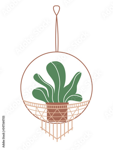 Houseplant on macrame hanger. Sticker with plant in pot hanging on decorative threads. Decor for interior of house. Botany and floristry. Cartoon flat vector illustration isolated on white background