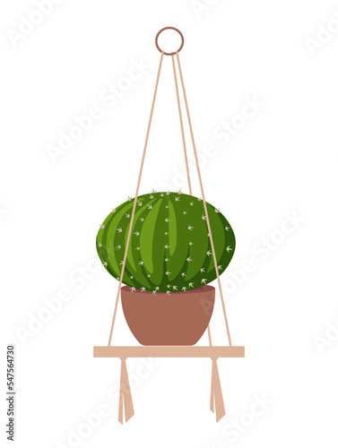 Houseplant on macrame hanger. Round exotic cactus with needles growing in brown pot on hanging wooden shelf. Design element for postcard. Cartoon flat vector illustration isolated on white background