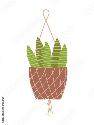 Houseplant on macrame hanger. Sticker with green succulent in pot and handmade weaving. Organic Home Decor. Design element for poster. Cartoon flat vector illustration isolated on white background
