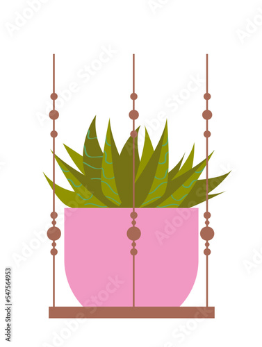 Houseplant on macrame hanger. Wooden shelf with green aloe leaves in pink pot. Decor woven from threads. Design element for postcard. Cartoon flat vector illustration isolated on white background