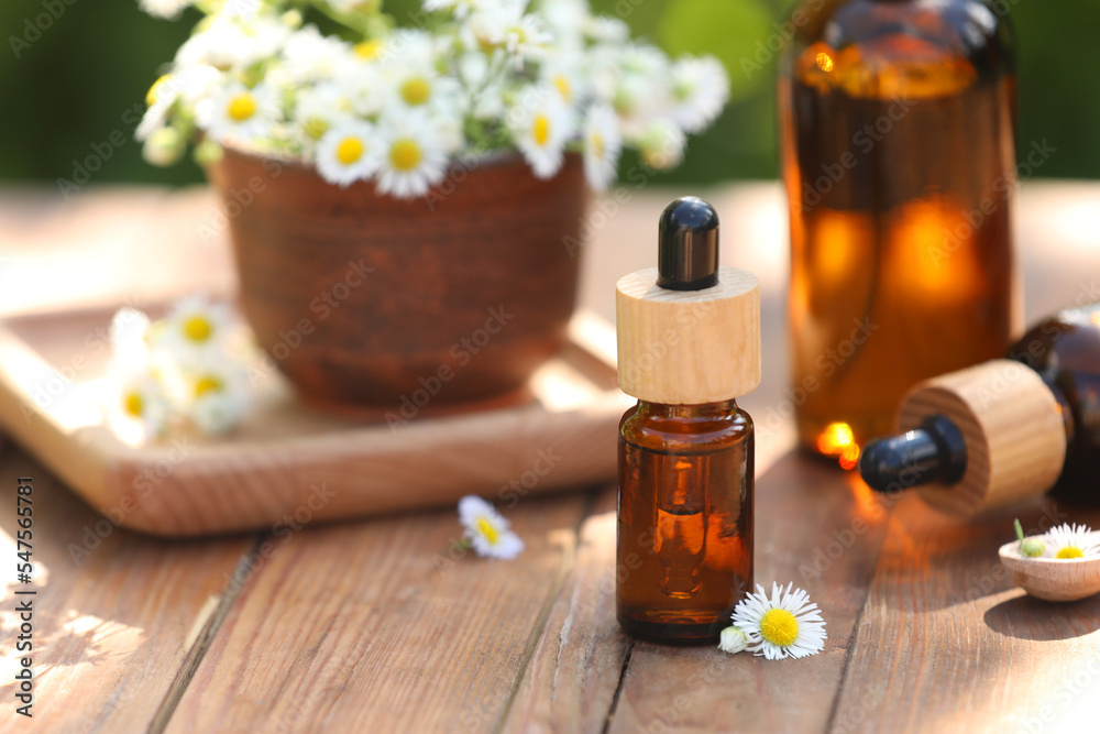 Bottles of chamomile essential oil and flowers on wooden table, closeup. Space for text Bottles of chamomile essential oil and flowers on wooden table, closeup. Space for text