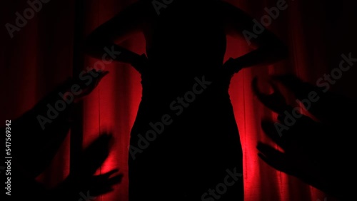 Worship concept, idolize person, Crowd happy and joyful in theatre. Celebration, festival, Happiness, Blurry night club .Event Show concert EDM on stage. Silhouette Applause to actor on red bacground.