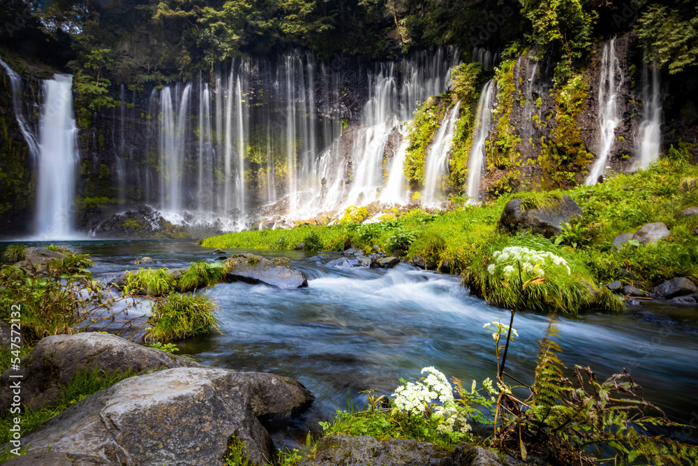 Obraz premium Scenic view of shira-ito waterfalls on summer day in Japan