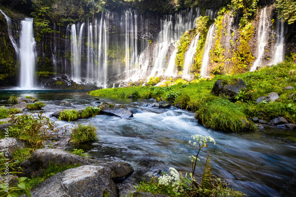 Fototapeta premium Scenic view of shira-ito waterfalls on summer day in Japan