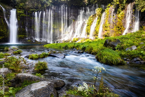 Fototapeta Naklejka Na Ścianę i Meble -  Scenic view of shira-ito waterfalls on summer day in Japan