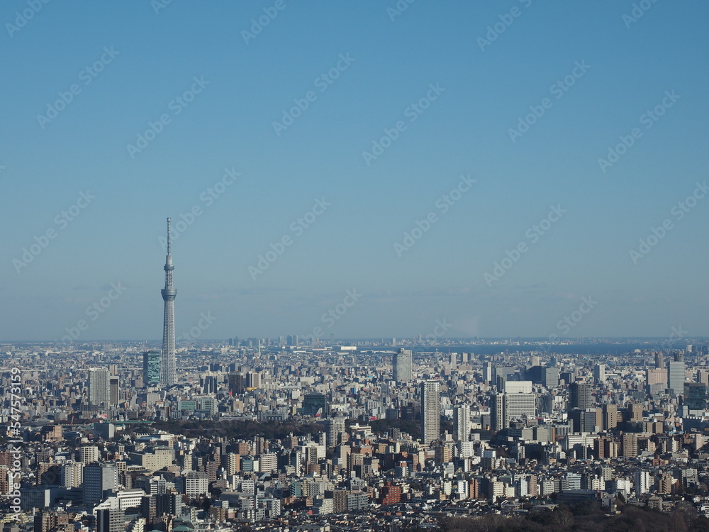 大都会　東京