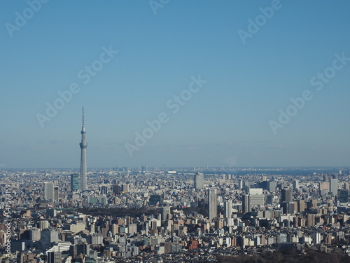 大都会 東京