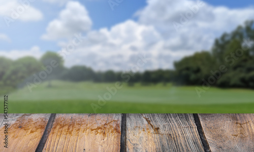wooden table with nature view
