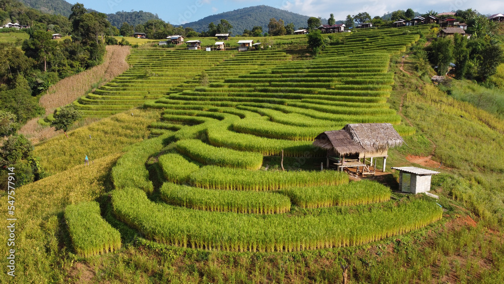 Aerial view of Rice terrace at Ban pa bong piang in Chiang mai Thailand Aerial view of Rice terrace at Ban pa bong piang in Chiang mai Thailand