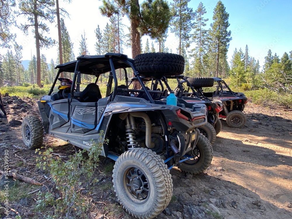 ATV, off roading, nature, forest, excursion, Bend, Oregon