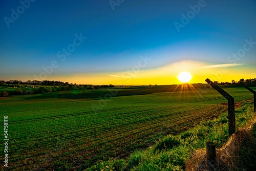 sunset over the field