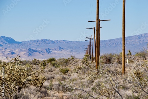 Wooden electrical pylon