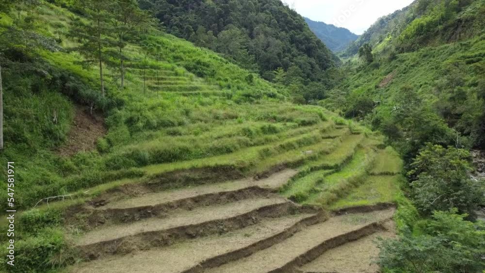 Beautiful drone shot of green valley and river with rice fields and mountains in East Asia Beautiful drone shot of green valley and river with rice fields and mountains in East Asia