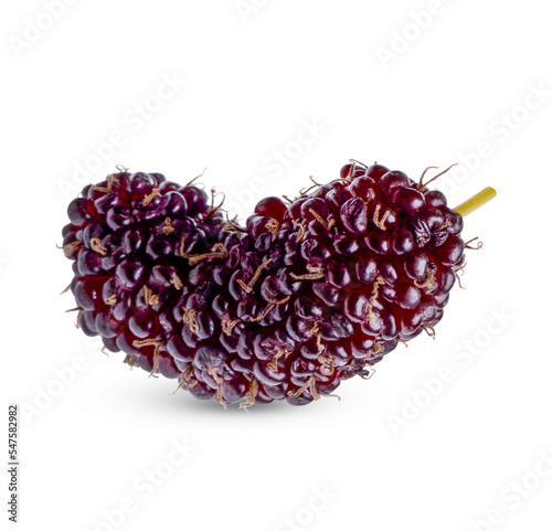 Fresh mulberry with leaves isolated on transparent background (.PNG)