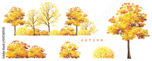 Vector watercolor blooming flower,tree or forest side view isolated on white background for landscape and architecture drawing,elements for environment and garden,botanical for section in autumn