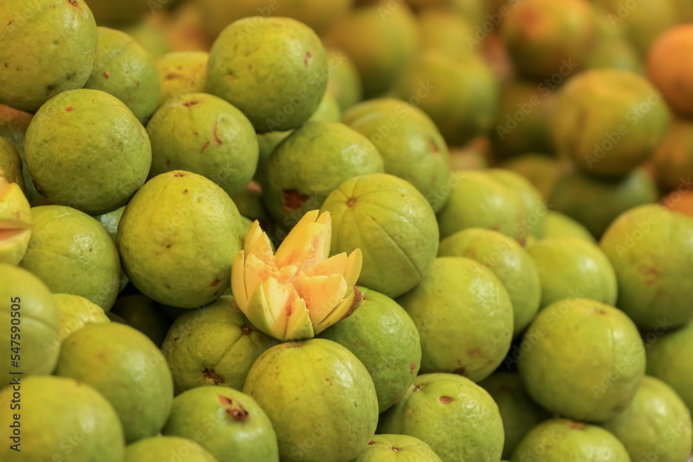 Fresh Guava fruits in the market up for sale. Fresh Guava fruits in the market up for sale.