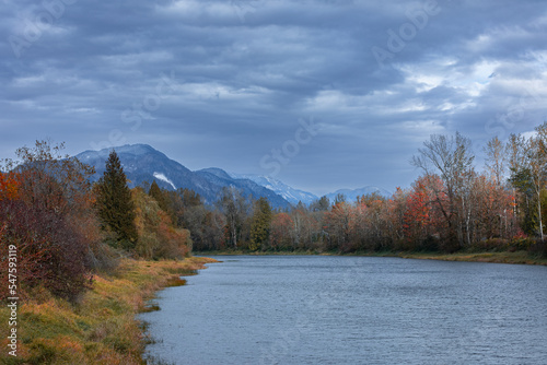 Fall foliage in British Columbia mountains. Canadian woods in fall autumn season in Agassiz by Fraiser River photo