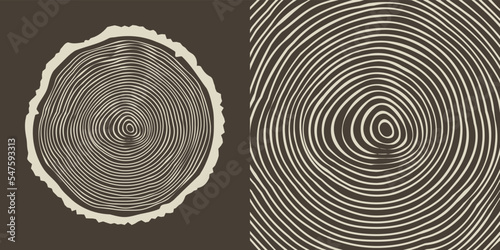 Round tree trunk cut, sawn pine or oak slice. Saw cut timber, wood. Brown wooden texture with tree rings. Hand drawn sketch. Vector illustration