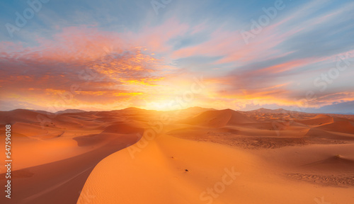 Camel caravan in the desert at sunrise -  Sahara, Morrocco photo