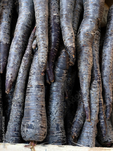 Closeup of fresh black heritage carrots on a greengrocer stall at a food market