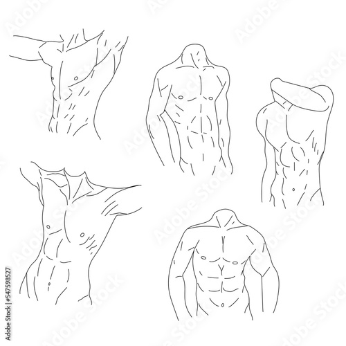 Set of  Muscular line torso  icons  isolated on white background. Sport and fitness symbol stock vector illustration.
