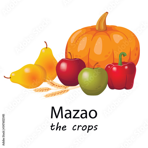 The crops (Mazao) for celebrating Kwanzaa.