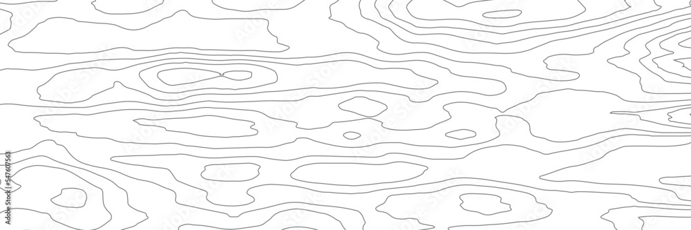 The stylized height of the topographic contour in lines. The concept of a conditional geography scheme and the terrain path. Black & White. The stylized height of the topographic contour in lines. The concept of a conditional geography scheme and the terrain path. Black & White.