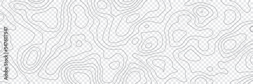 Topographic map transparent background concept with space for your copy. Vector abstract illustration. Geography concept.