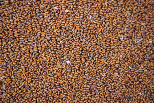 Dry Bean Seeds Texture background. Background of many grains of dried beans