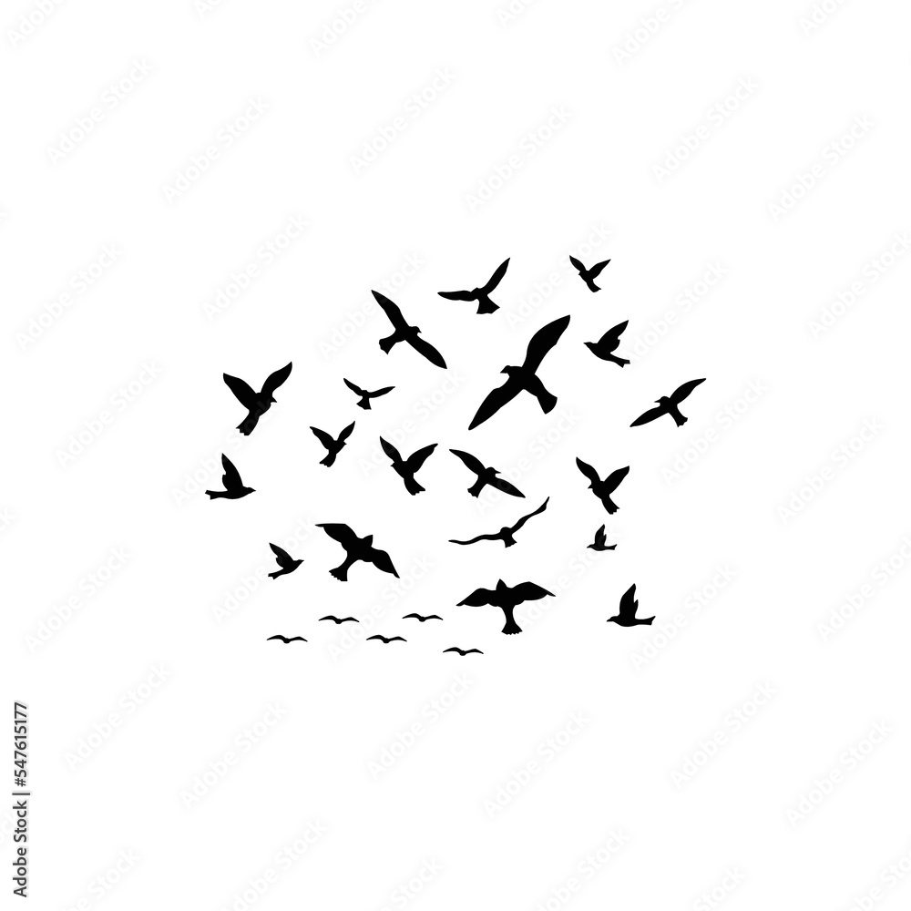 flock of birds flying flock of birds flying
