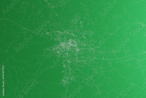 Map of the streets of Tuscaloosa (Alabama, USA) made with white lines on green paper. Rough background. 3d render, illustration photo