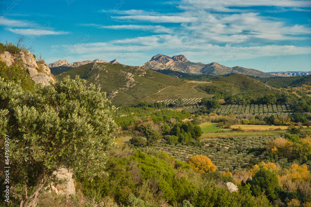 Landschaft in den Alpilles ind er Provence