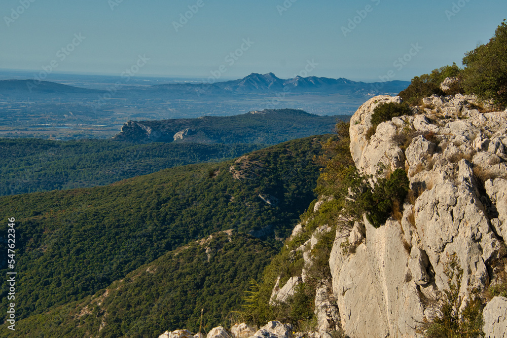 Foret des Cedres im Luberin in der Provence
