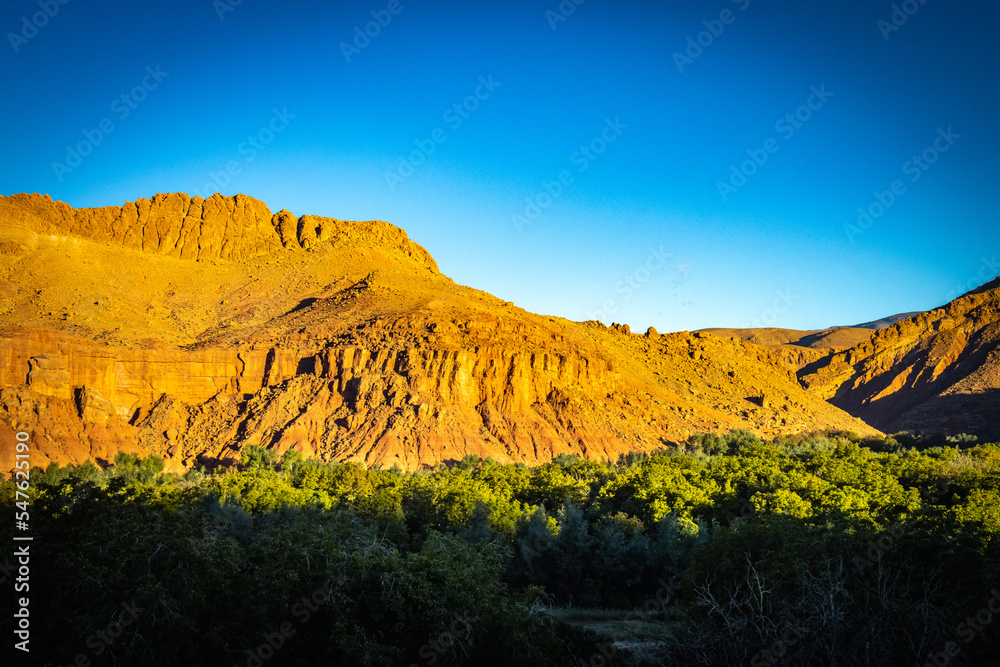 canyon, valley of roses, morocco, oasis, river, m'goun, high atlas mountains, north africa, sunset