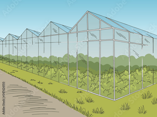 Greenhouse graphic color landscape sketch illustration vector