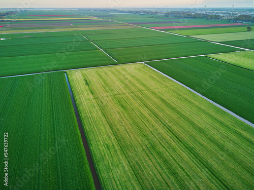 Fényképezés Aerial drone view of typical Dutch fields and polders