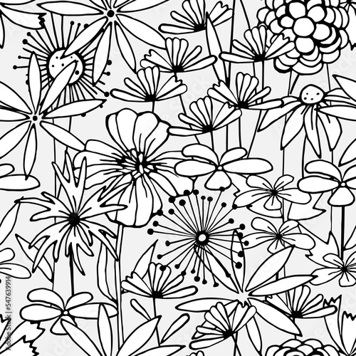 Black and white flowers. Summer meadow. Seamless pattern. Graphic vector illustration. Coloring book.