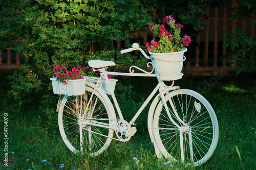 White retro vintage bicycle with flowers in the garden. Decoration of the park area. Flower bed design option. Dark blurred background.