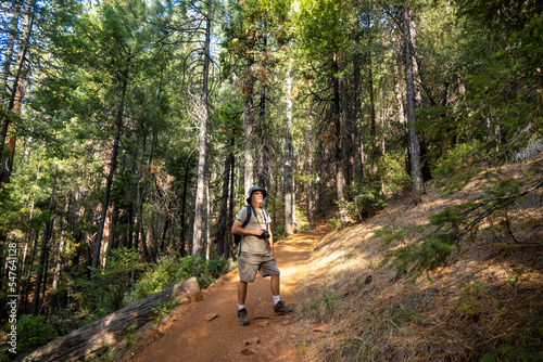The Hiking Trail at Castle Crag California State Park with large pine trees along the Path with a Matuire man Exploring the Forest
